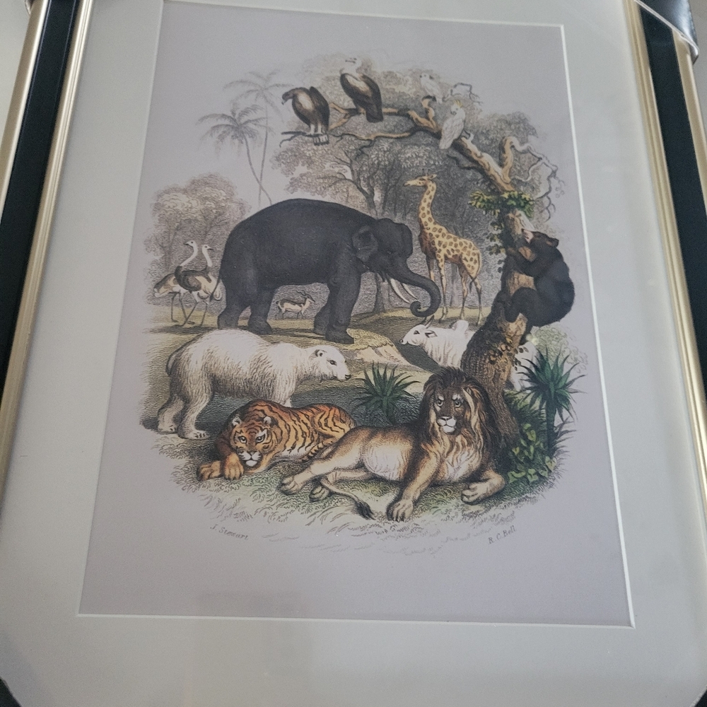 ASHLAND Wildlife Art Print with Black and Gold Frame